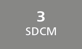 3SD_CM.jpg